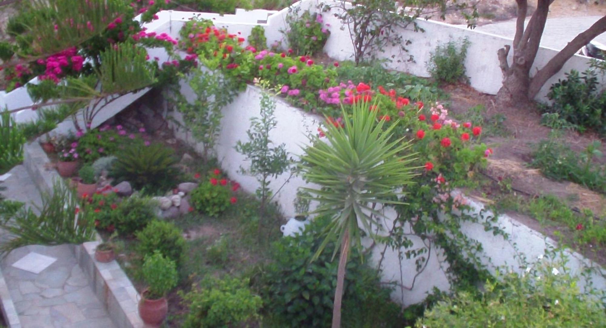Creta Vassakis Studios Kéfalos المظهر الخارجي الصورة