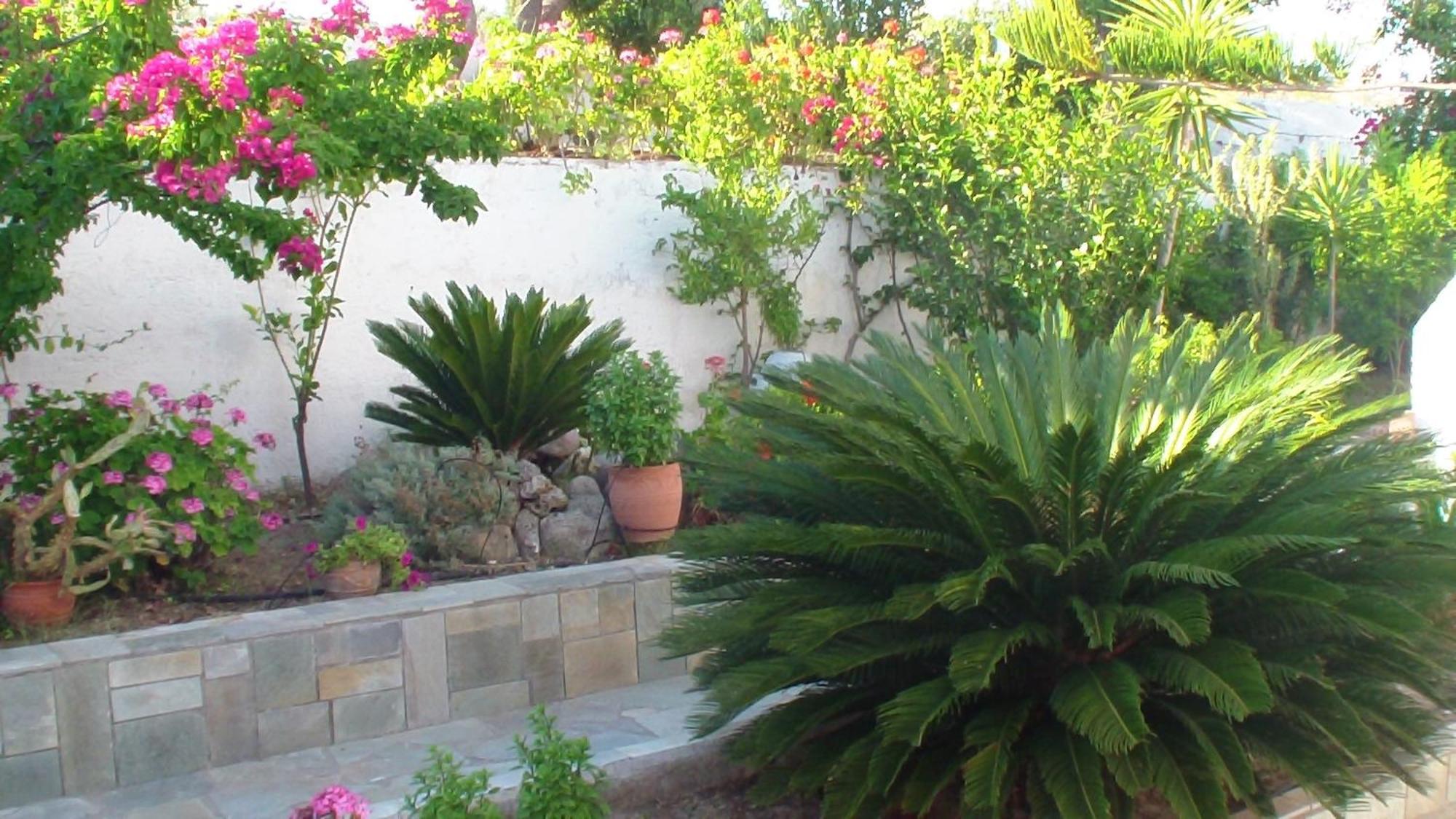 Creta Vassakis Studios Kéfalos المظهر الخارجي الصورة