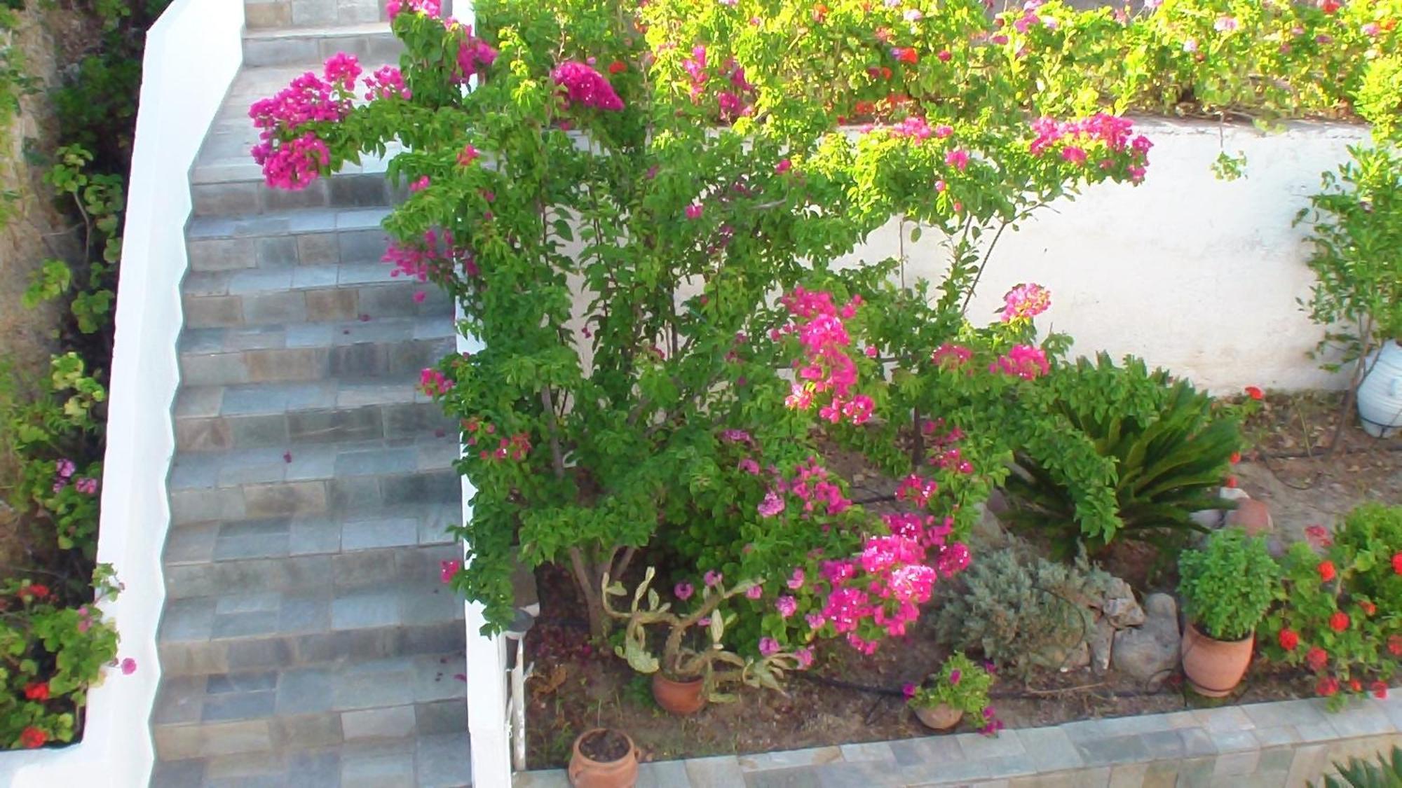 Creta Vassakis Studios Kéfalos المظهر الخارجي الصورة